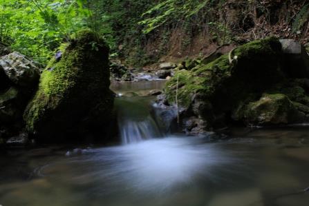 Knobleharjevo 2012 - Fotografski natečaj Občine Škocjan 2012 14
